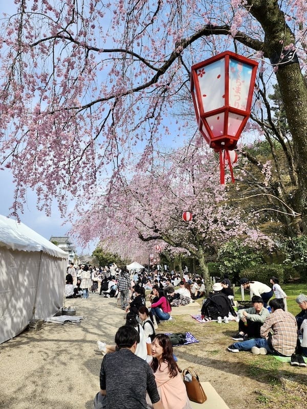 2024-03-31 名古屋賞櫻旅Day5 鶴舞公園+名古屋