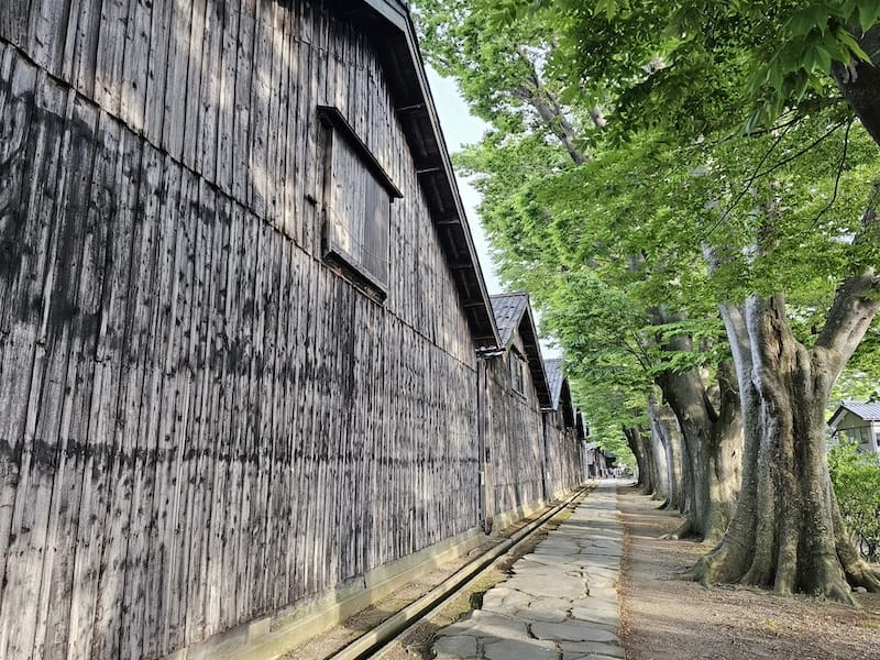 2024-06-06 星動秋田旅Day1 由利高原鐵道+酒田