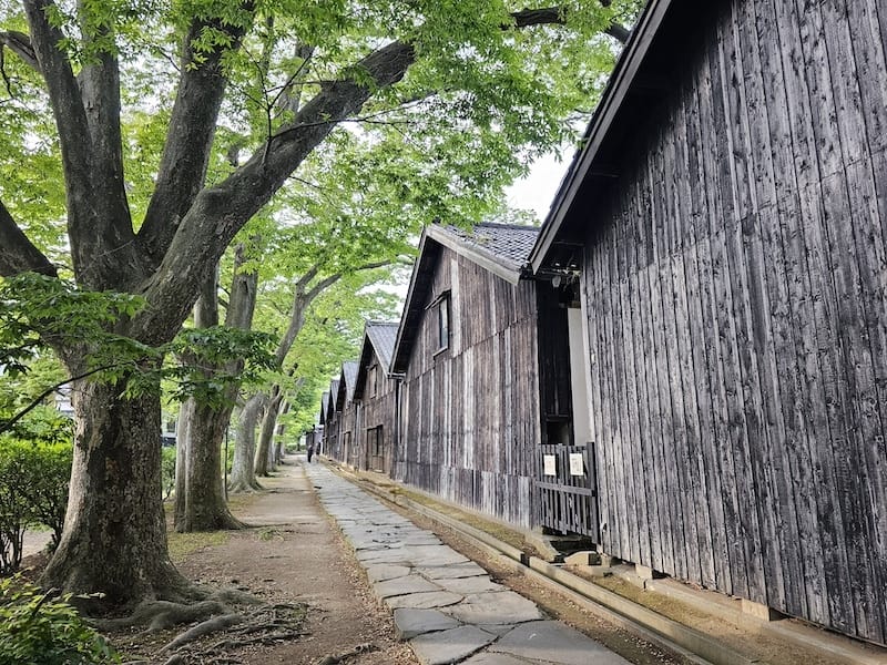 2024-06-06 星動秋田旅Day1 由利高原鐵道+酒田