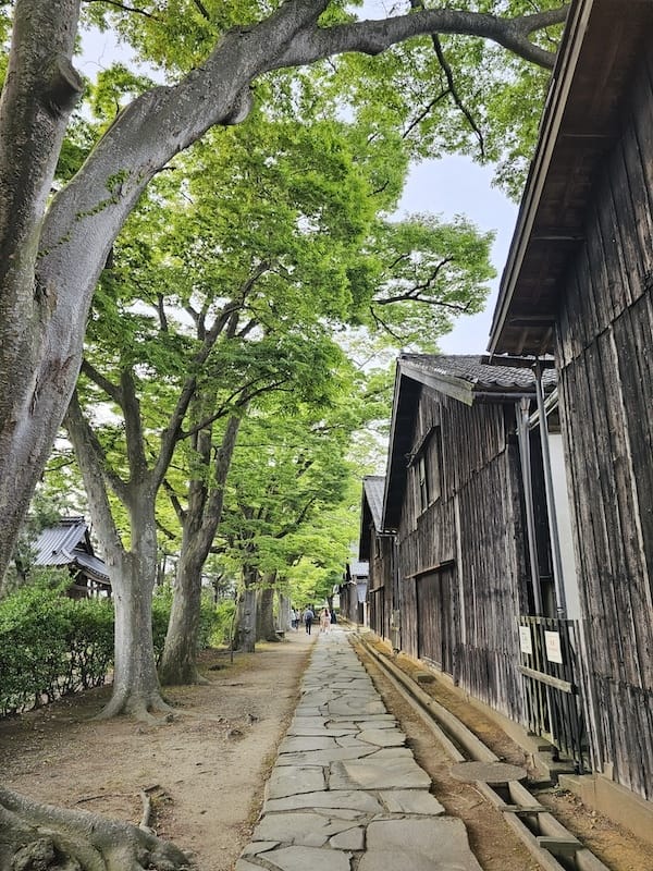 2024-06-06 星動秋田旅Day1 由利高原鐵道+酒田
