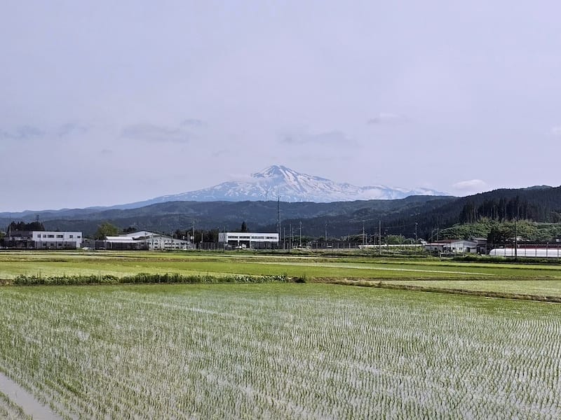 2024-06-06 星動秋田旅Day1 由利高原鐵道+酒田