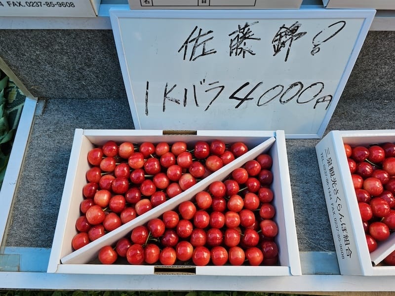 2024-06-07 星動秋田旅Day2-1 銀山溫泉+山形