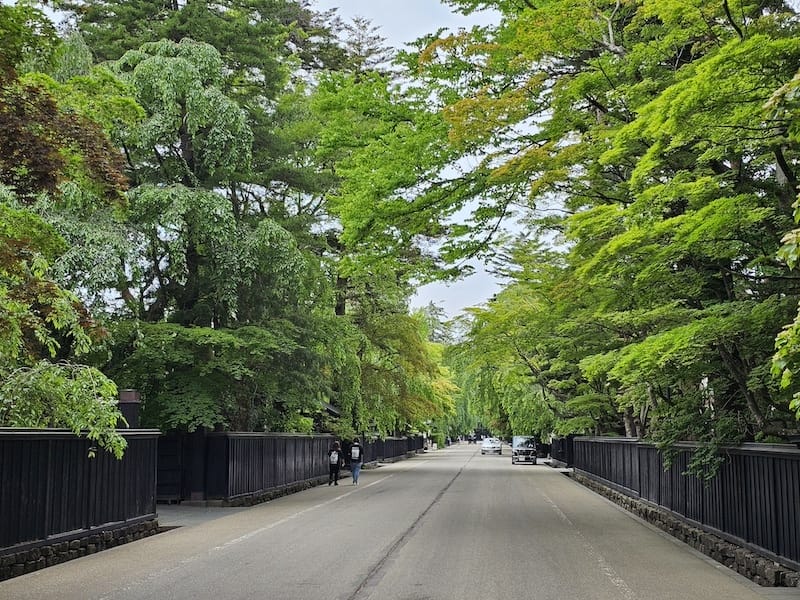 2024-06-09 星動秋田旅Day4 田澤湖+角館武家屋