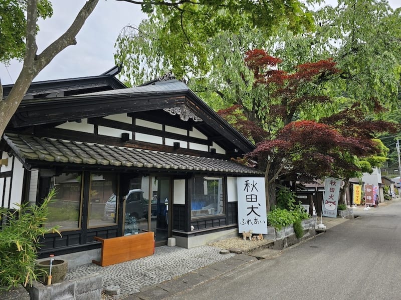 2024-06-09 星動秋田旅Day4 田澤湖+角館武家屋