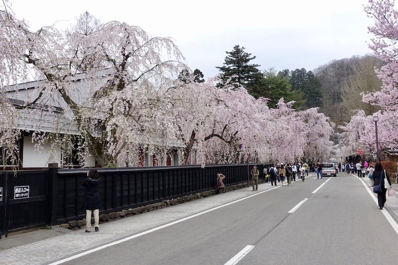 2024-06-09 星動秋田旅Day4 田澤湖+角館武家屋
