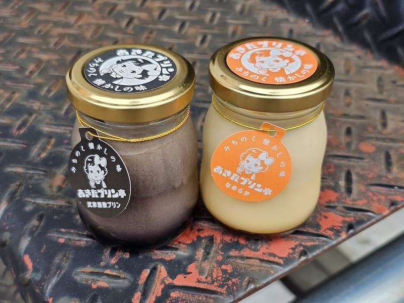 2024-06-09 星動秋田旅Day4 田澤湖+角館武家屋