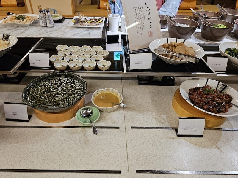 2024-06-08 秋田住宿田沢湖レイクリゾート(田澤湖 2024-06-08 秋田住宿田沢湖レイクリゾート(田澤湖