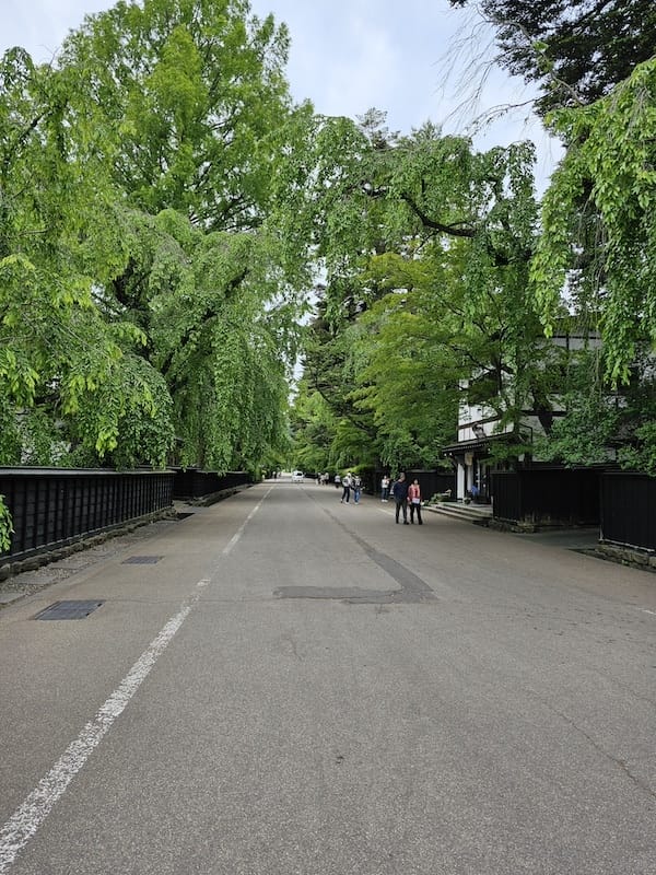 2024-06-09 星動秋田旅Day4 田澤湖+角館武家屋