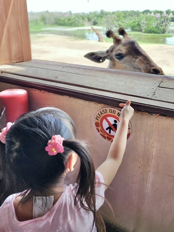 2024-11-05 真的泰好玩Day4-1曼谷野生動物園(