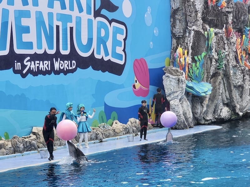 2024-11-05 真的泰好玩Day4-1曼谷野生動物園(