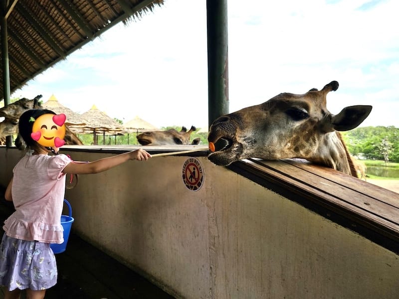 2024-11-05 真的泰好玩Day4-1曼谷野生動物園(