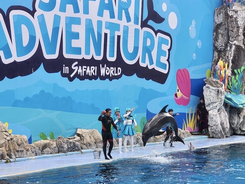 2024-11-05 真的泰好玩Day4-1曼谷野生動物園(