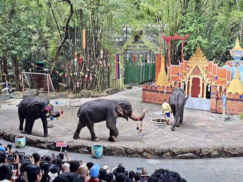 2024-11-05 真的泰好玩Day4-1曼谷野生動物園(