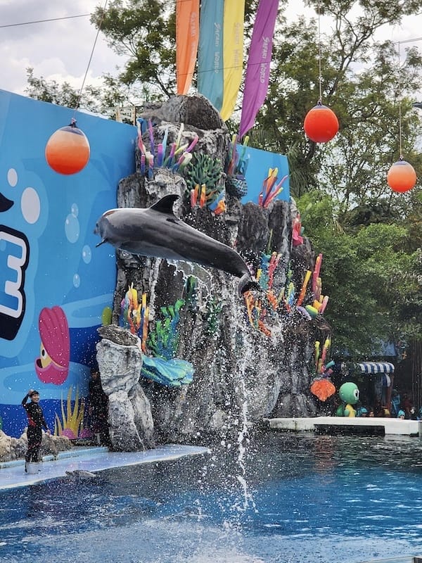 2024-11-05 真的泰好玩Day4-1曼谷野生動物園(