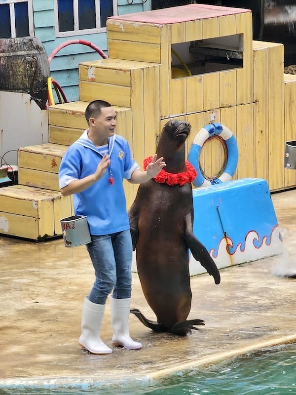 2024-11-05 真的泰好玩Day4-1曼谷野生動物園(
