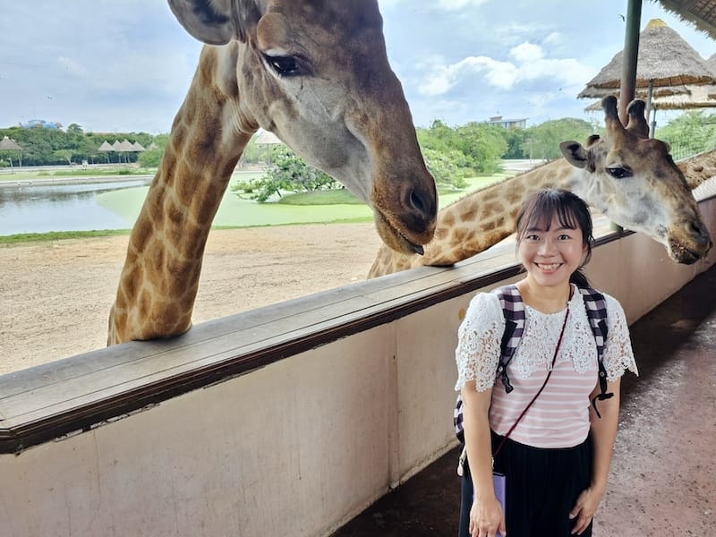 2024-11-05 真的泰好玩Day4-1曼谷野生動物園(