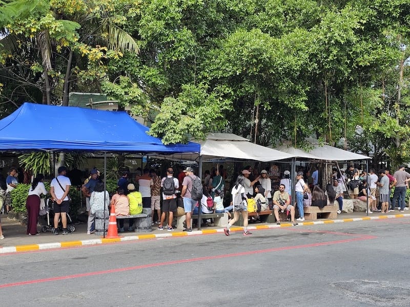 2024-11-05 真的泰好玩Day4-1曼谷野生動物園(