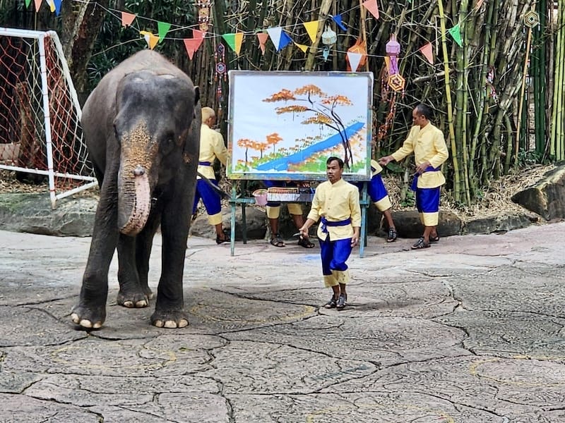 2024-11-05 真的泰好玩Day4-1曼谷野生動物園(