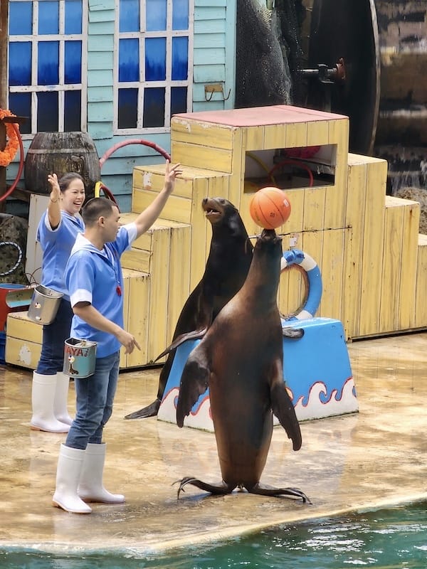 2024-11-05 真的泰好玩Day4-1曼谷野生動物園(