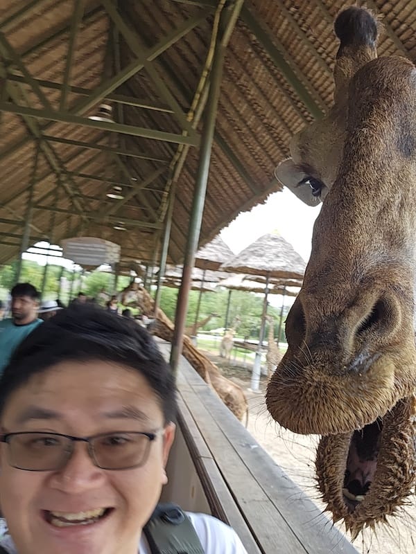 2024-11-05 真的泰好玩Day4-1曼谷野生動物園(