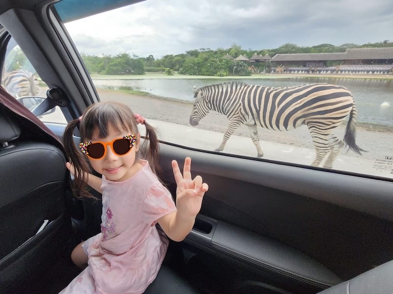 2024-11-05 真的泰好玩Day4-1曼谷野生動物園(
