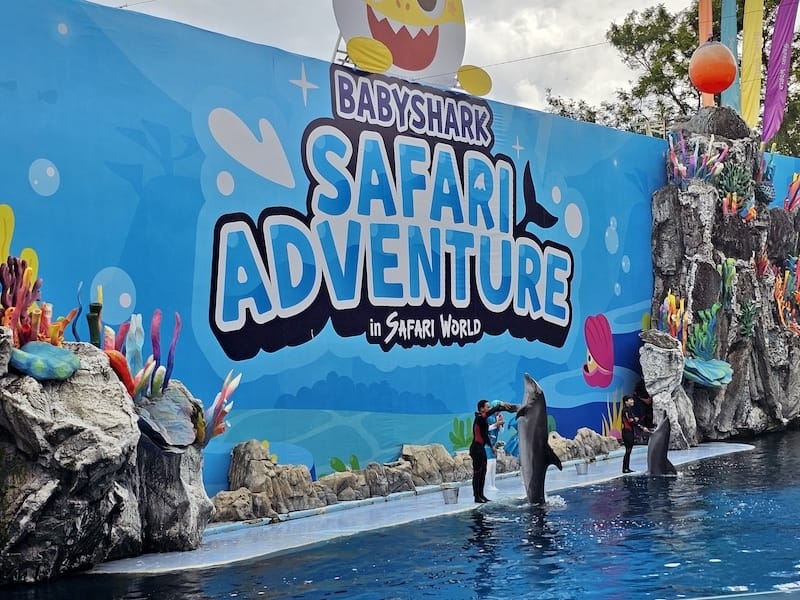 2024-11-05 真的泰好玩Day4-1曼谷野生動物園(