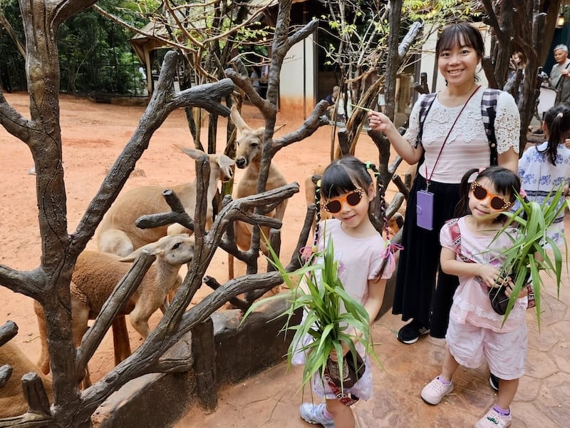 2024-11-05 真的泰好玩Day4-1曼谷野生動物園(