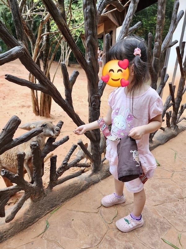 2024-11-05 真的泰好玩Day4-1曼谷野生動物園(