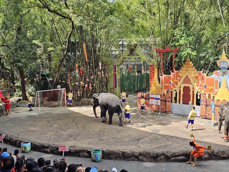 2024-11-05 真的泰好玩Day4-1曼谷野生動物園(