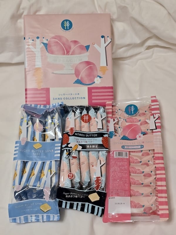 2025-05-10&11 九州親子自由行Day1&2 福岡