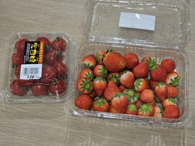 2025-05-12 九州親子自由行Day3 福岡別府移動日