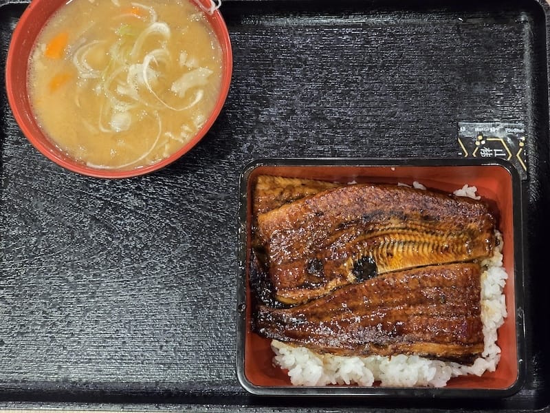 2025-05-14 九州親子自由行Day5 九州自然動物園