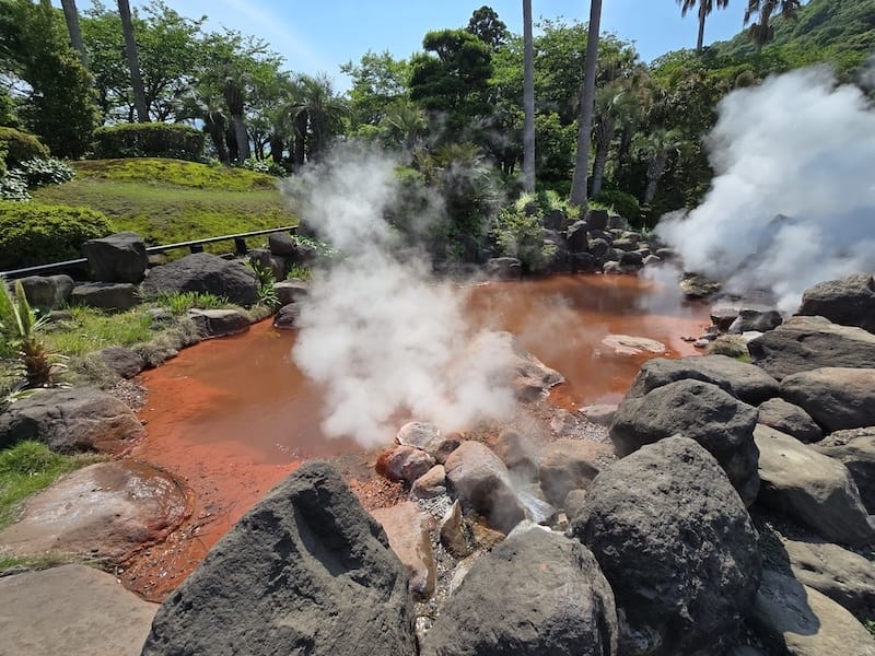 2025-05-14 九州親子自由行Day5 九州自然動物園
