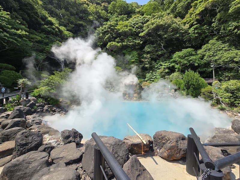 2025-05-14 九州親子自由行Day5 九州自然動物園