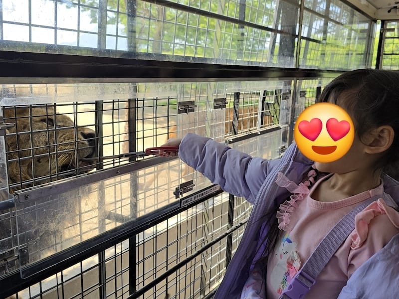 2025-05-14 九州親子自由行Day5 九州自然動物園