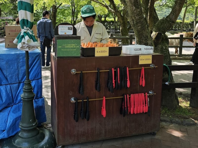 2025-05-14 九州親子自由行Day5 九州自然動物園