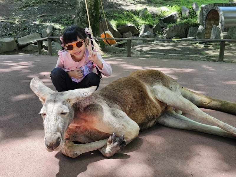 2025-05-14 九州親子自由行Day5 九州自然動物園