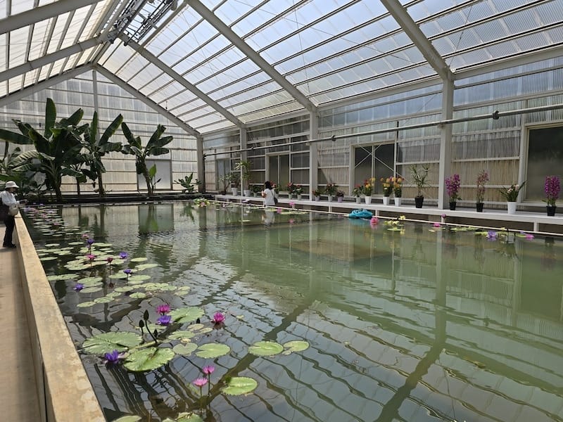 2025-05-14 九州親子自由行Day5 九州自然動物園