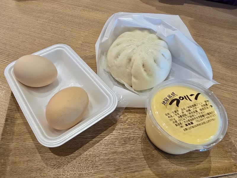 2025-05-14 九州親子自由行Day5 九州自然動物園