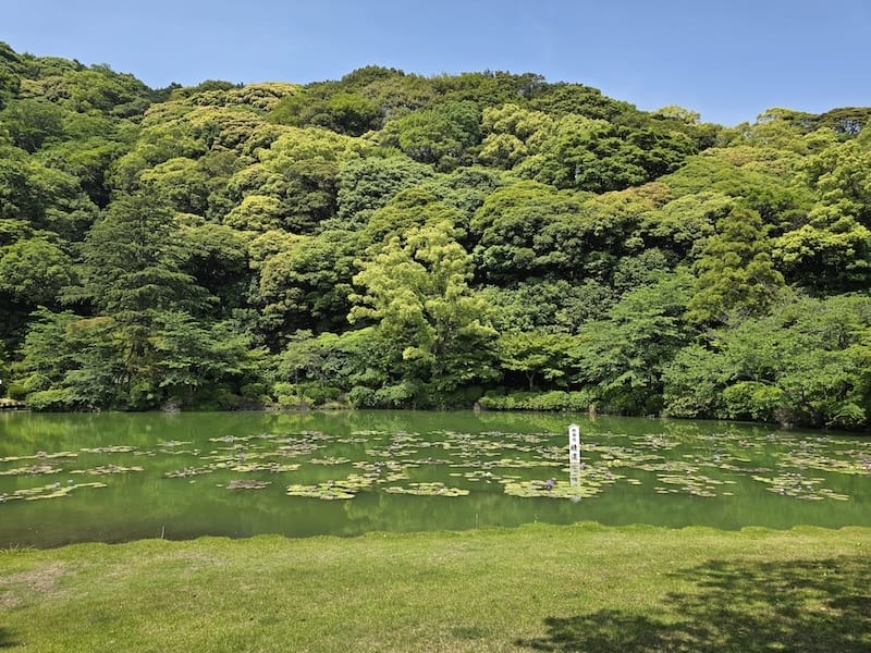 2025-05-14 九州親子自由行Day5 九州自然動物園