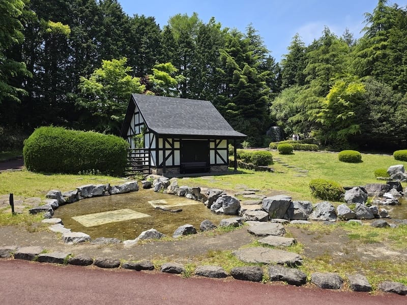 2025-05-14 九州親子自由行Day5 九州自然動物園