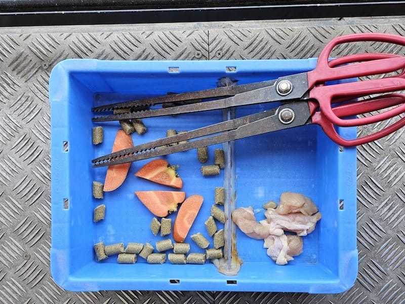 2025-05-14 九州親子自由行Day5 九州自然動物園