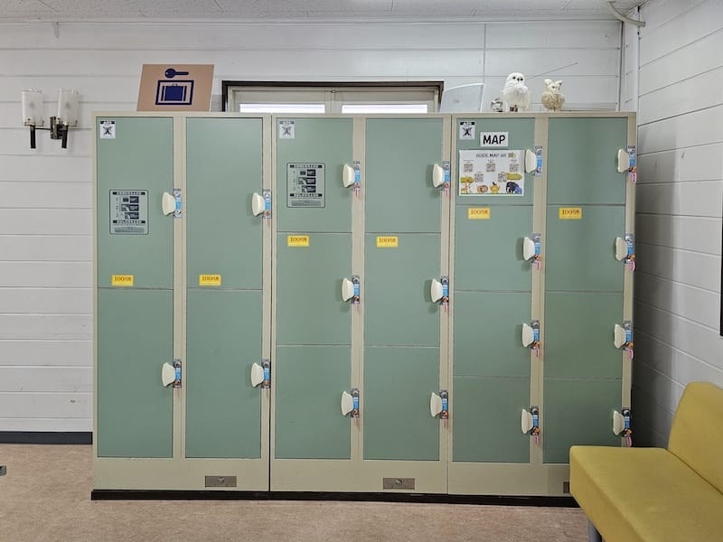 2025-05-14 九州親子自由行Day5 九州自然動物園