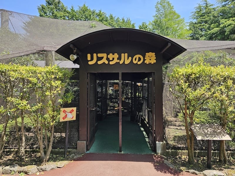 2025-05-14 九州親子自由行Day5 九州自然動物園