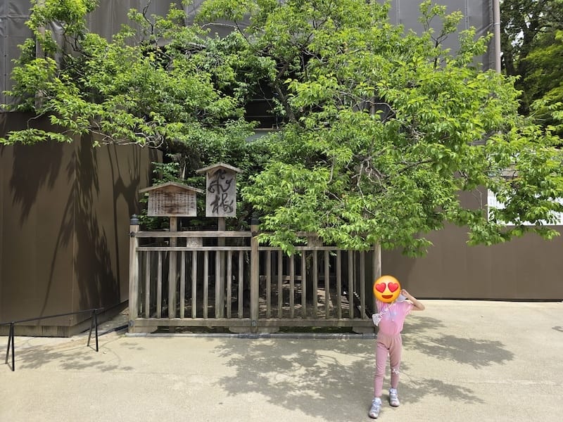 2025-05-15 九州親子自由行Day6-1 太宰府天滿