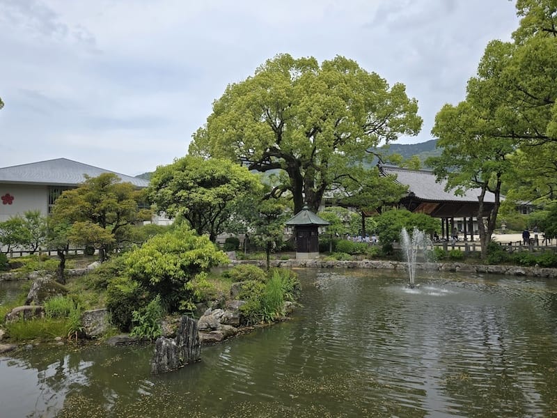 2025-05-15 九州親子自由行Day6-1 太宰府天滿