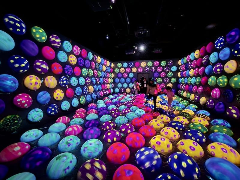 2025-05-15 九州親子自由行Day6-2 teamL