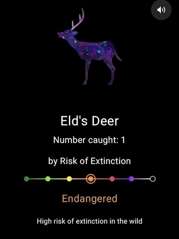 2025-05-15 九州親子自由行Day6-2 teamL