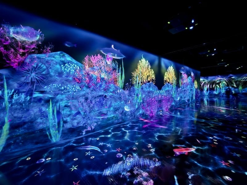 2025-05-15 九州親子自由行Day6-2 teamL