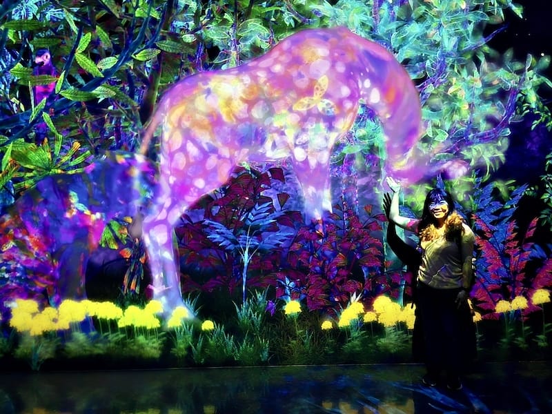 2025-05-15 九州親子自由行Day6-2 teamL